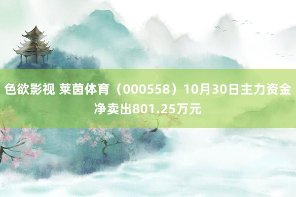 色欲影视 莱茵体育（000558）10月30日主力资金净卖出801.25万元