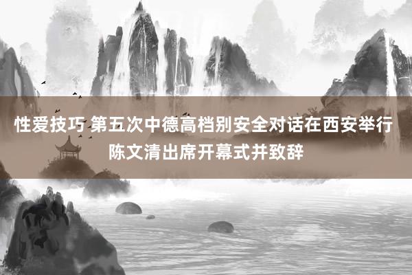 性爱技巧 第五次中德高档别安全对话在西安举行 陈文清出席开幕式并致辞