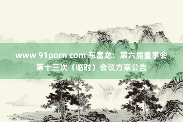 www 91porn com 东富龙：第六届董事会第十三次（临时）会议方案公告