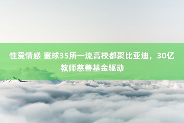 性爱情感 寰球35所一流高校都聚比亚迪，30亿教师慈善基金驱动