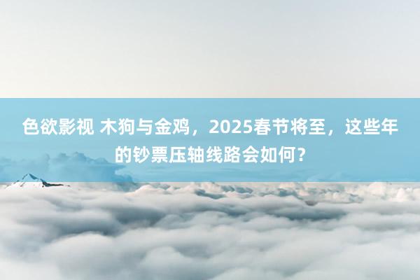 色欲影视 木狗与金鸡，2025春节将至，这些年的钞票压轴线路会如何？